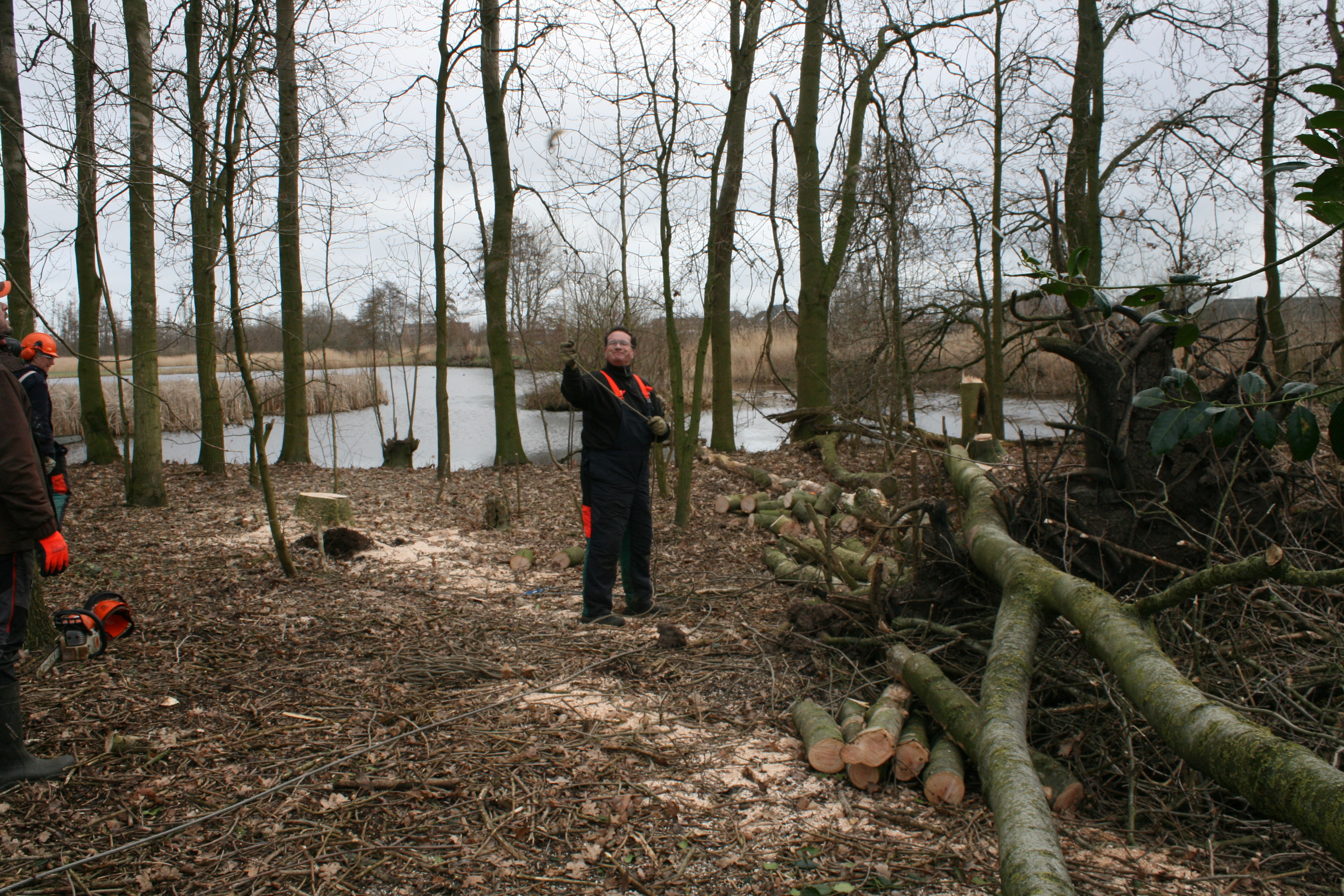Knotploeg (Spookverlaat). Foto van Margot Klingers.